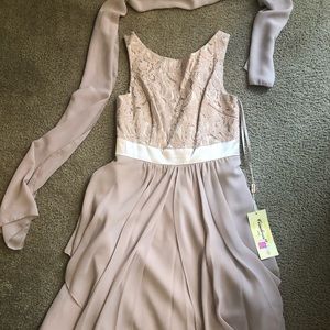 NWT Light Pink Chiffon & Lace Dress